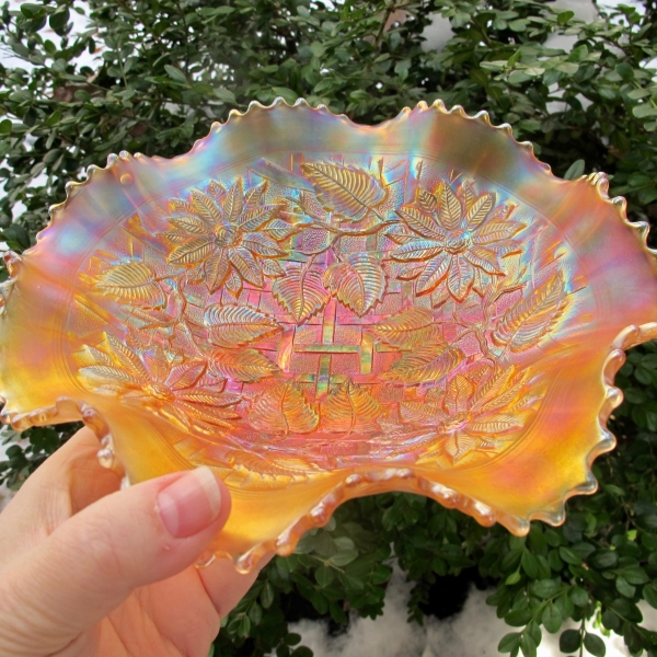 Antique Northwood Poinsettia & Lattice Marigold Carnival Glass Bowl