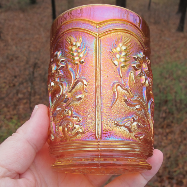 Antique Imperial Fieldflower Marigold Carnival Glass Tumbler